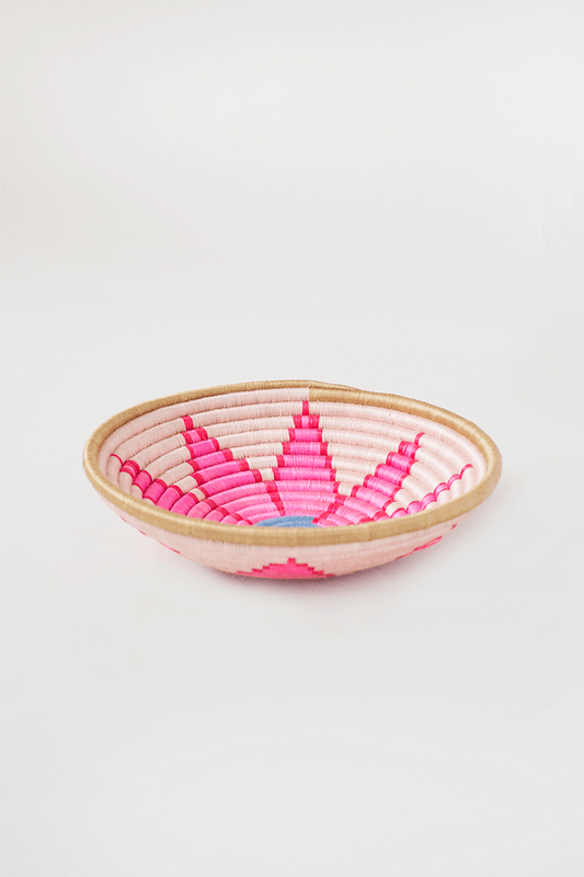 Gazania Plateau in Pink/Blue