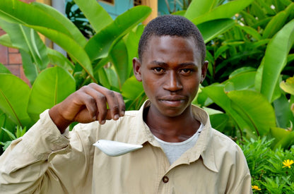 Juego de regalo de adorno de trío de pájaros tallados a mano