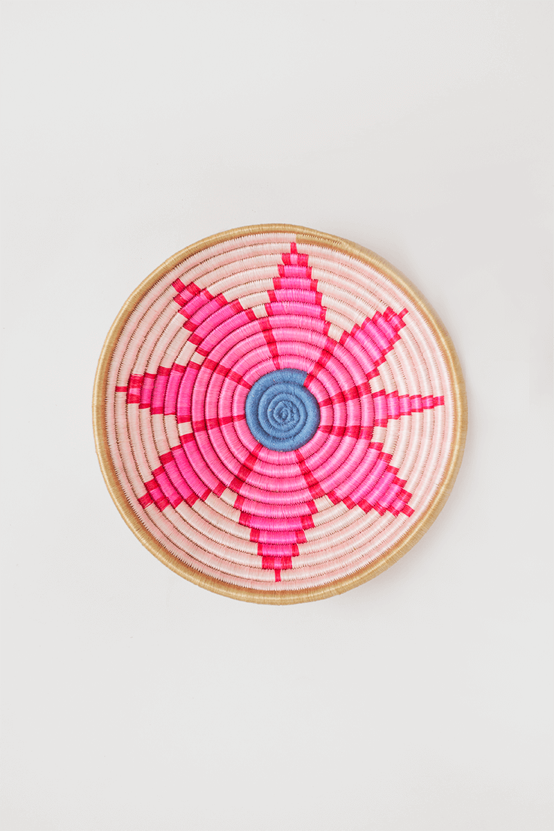 Gazania Plateau in Pink/Blue