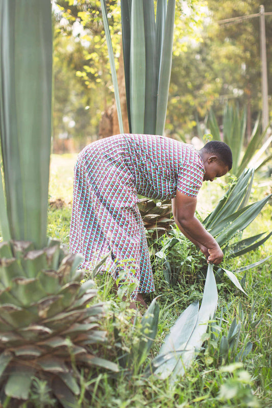 Person tending to plants in a garden