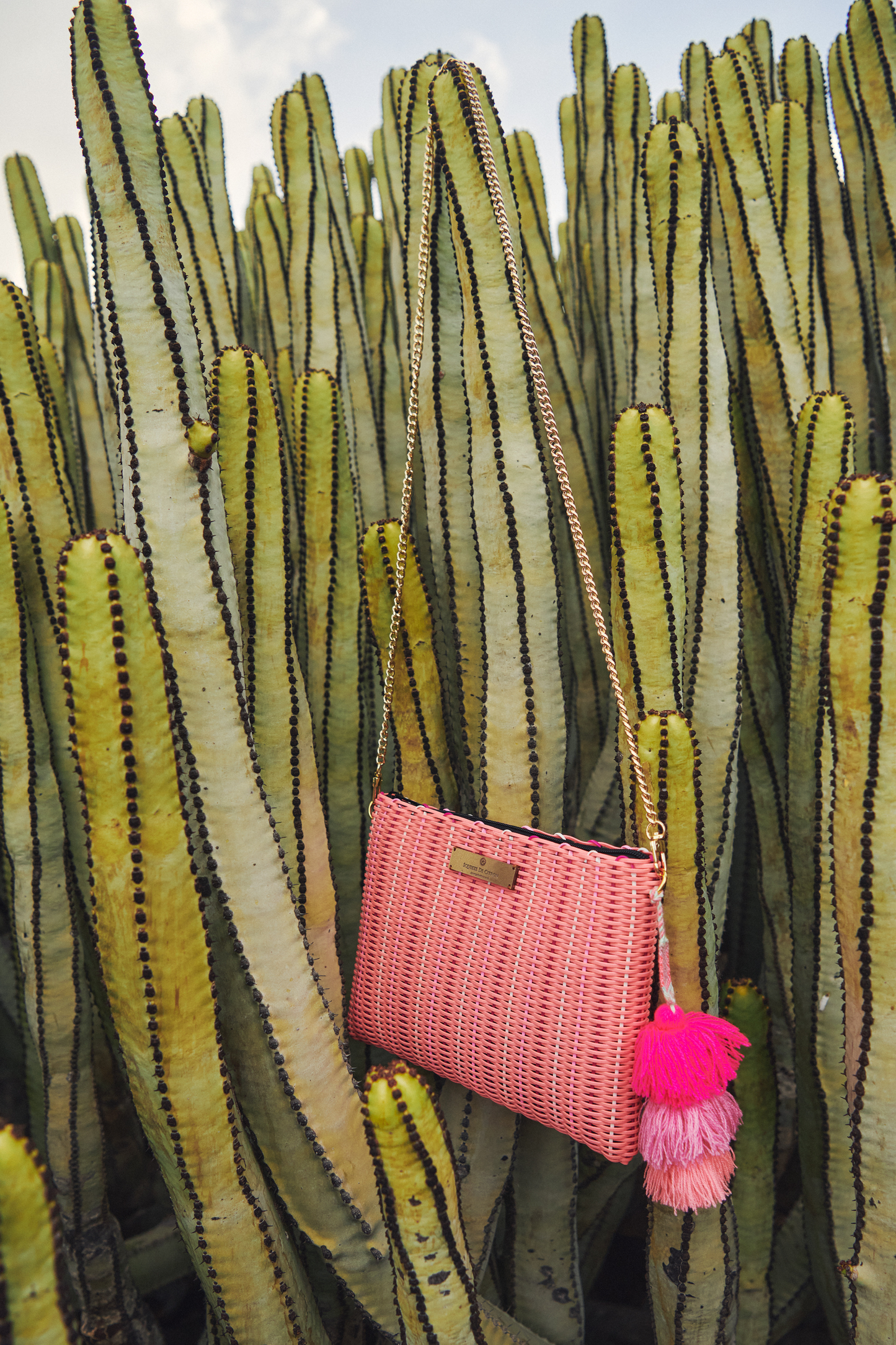Pink woven handbag with pom-poms on a cactus plant