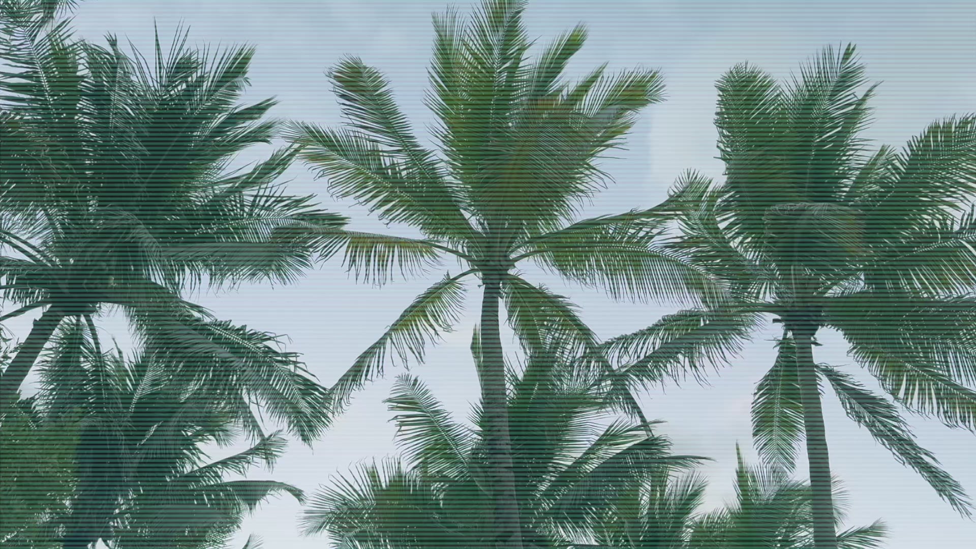 Load video: Vintage beach video