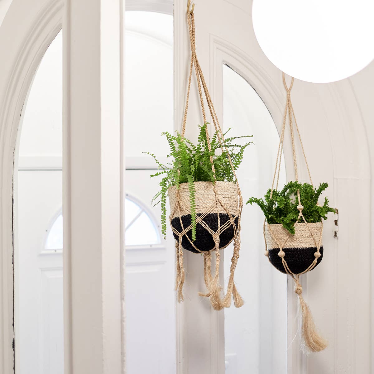 Two macrame plant hangers with plants hanging in front of a white door.